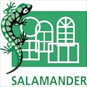 Salamander nadarzyn